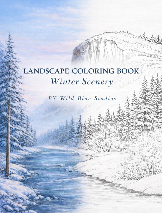 Landscape Coloring Book: Winter Scenery